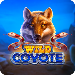 WILD COYOTE