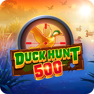 DUCK HUNT 500