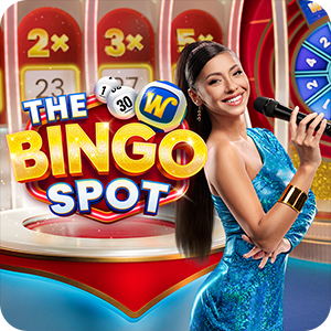 THE BINGO SPOT
