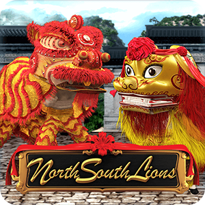 NORTH SOUTH LIONS
